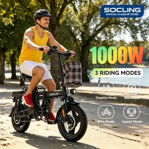Z1 Folding Electric Bike - 1000W High-Speed Adult Urban Commuter E-Cycle with 48 Mi Long Range, Bike Cycle
