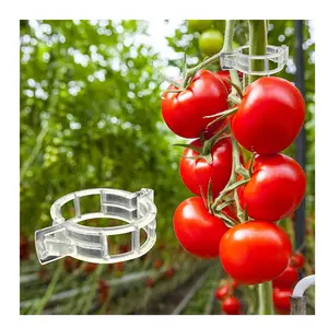 300PCS Tomato Plant Support Clips – Plastic Trellis Clips for Vine Support, Grape & Vegetable Plants, Garden Clips for Upright Growth & Healthier Plants