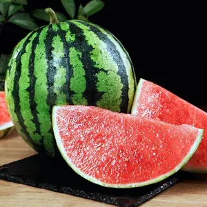 50 Sugar Baby Watermelon Seeds for Planting - Heirloom Non-GMO USA Grown Premium Fruit Seeds for Planting a Home Garden
