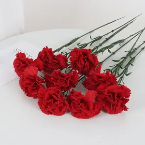 12pcs Vibrant Artificial Carnation Bouquet, Fade-Resistant Plastic Flowers, Indoor/outdoor Decoration, Perfect for Weddings, Holidays