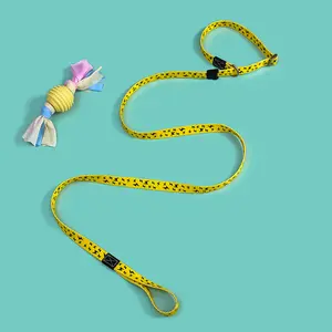 Premium P Type Dog Leash Anti Shock Explosion Proof Training Slip Collar Lead Heavy Duty Pet Walking Rope for Daily Outdoor Activity