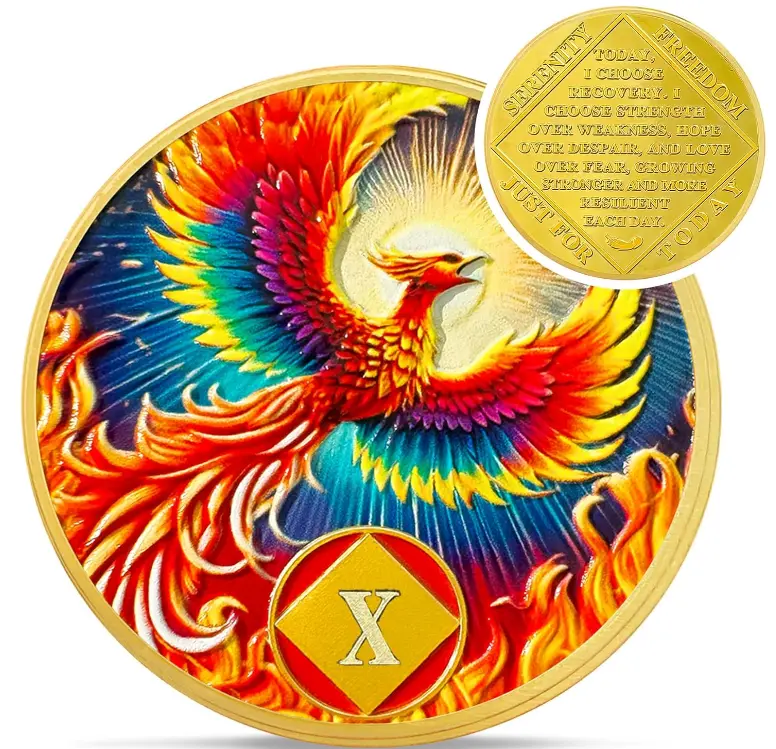 1-15Yr NA Phoenix Rebirth Sobriety Chip, Rising Sun Awakening NA Recovery Token, Addiction Sober Affirmation Narcotics Anonymous Gift | Home Decor, Lounge Accessories, Cool Room Decor, Men’s Room Decor