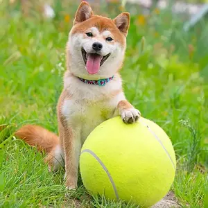Interactive Dog Toy for Training & Play, Large Outdoor Tennis Ball Pet Toy with Optional Inflatable Pump, Durable Chew Design for Active Dogs
