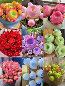 500 Pcs Mixed Succulent Seeds for Planting, Ornamental Succulent Seeds Only, Not Live Plants