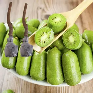 Kiwi Berry Fruit Tree Seedlings | Easy to Grow Home Garden Fruit Plants Wonderful | Choice for Home Gardeners