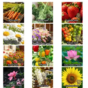Home Garden Variety Seed Starter Pack – Fruit, Vegetable & Flower Mixed Selection for Indoor & Outdoor Planting (Seeds Only）