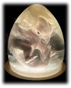 EPOXY RESIN CRAFTED VELOCIRAPTOR EMBRYO EGG - 3D PRINTED AND RESIN VELOCIRAPTOR EGG STATUE