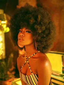 Lehanhair Afro Wigs For Women 12 Inch Afro Curly Wig 70s Wig Large Bouncy And Soft Natural Looking Full Puff Wigs For Party Cosplay Afro Wig (Black)