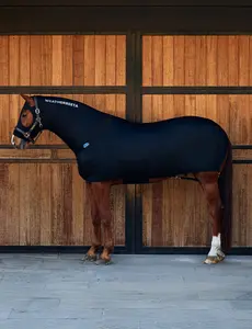 WEATHERBEETA  Stretch Blanket