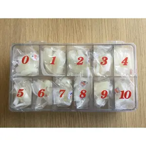 Lamour Focus Natural Tip 550 Tips Box With KDS Glue Stick