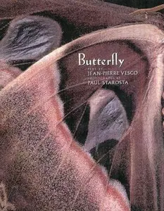 USED-Butterflies and Moths by Jean-Pierre Vesco (Hardcover)