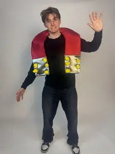 Chick Magnet Costume