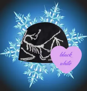Arc'teryx Bird Head Winter Beanie – Viral Cold Weather Knit Hat, Luxury Streetwear Essential 2026