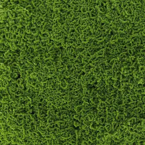 Moss Greenery Panel