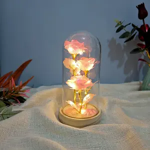 Valentines Rose Gifts for Lady.LED Rose Lantern Birthday Gifts for Women Colorful Galaxy Crystal Light Up Rose Flowers in A Glass Dome Her Valentines.Classic Eternal Romantic Creative Gifts Perfect Surprise Idea (Multicolor)