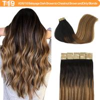 #(T2/6)P(T2/18) Dark Brown and Dity Blonde