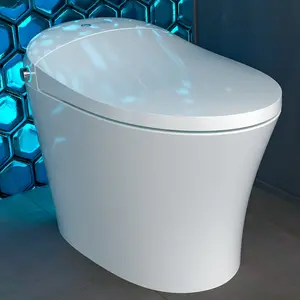 Swan Toilets S Pro Multifunctional Bidet