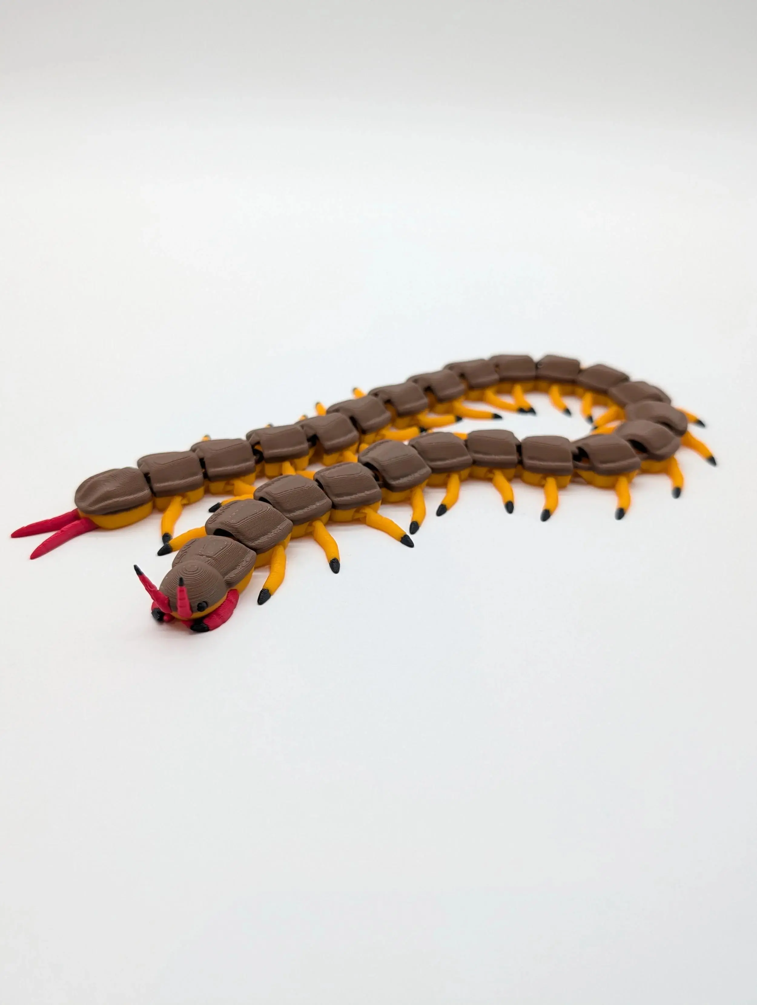 Giant Centipede