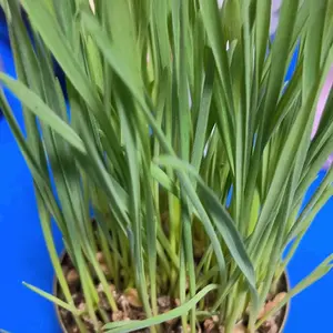 review image 10