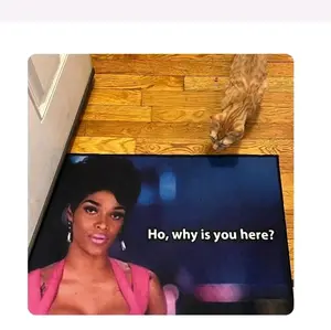 Ho, why is you here Joseline Funny Doormat High Quality Print Color Mat