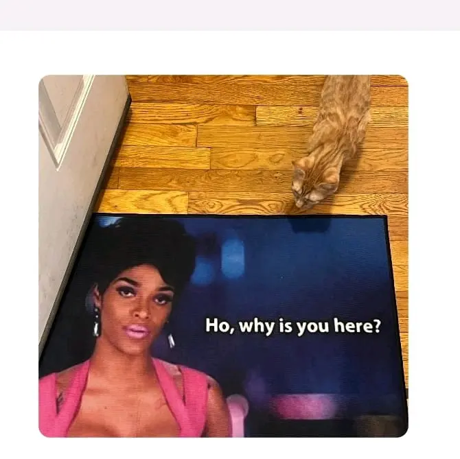 Ho, why is you here Joseline Funny Doormat High Quality Print Color Mat