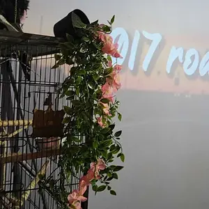 Artificial Hanging Vine Plants in Pots, 2-Count Faux Plants with Pots, Decorative Plants for Home and Office, Indoor and Outdoor Garden Shelves, Artificial Hanging Baskets #TOP PICKS