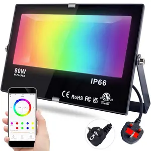Colorful LED Flood Light for Ramadan and Eid multiple colors.