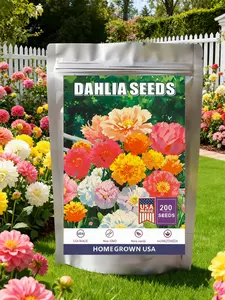 200pcs Mixed Dahlia Flower Seeds for Planting- Non-GMO Heirloom, Multi-Color Pompon Blooms Attract Pollinators, Rapid Outdoor Landscaping