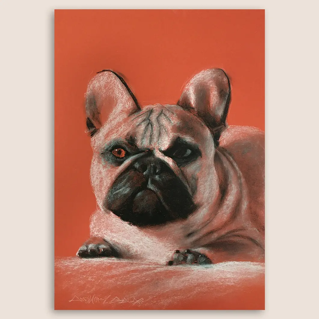 French Bulldog Original Conte Crayon & Charcoal Drawing on Toned Paper - 11"x16" Artwork in Realistic Style