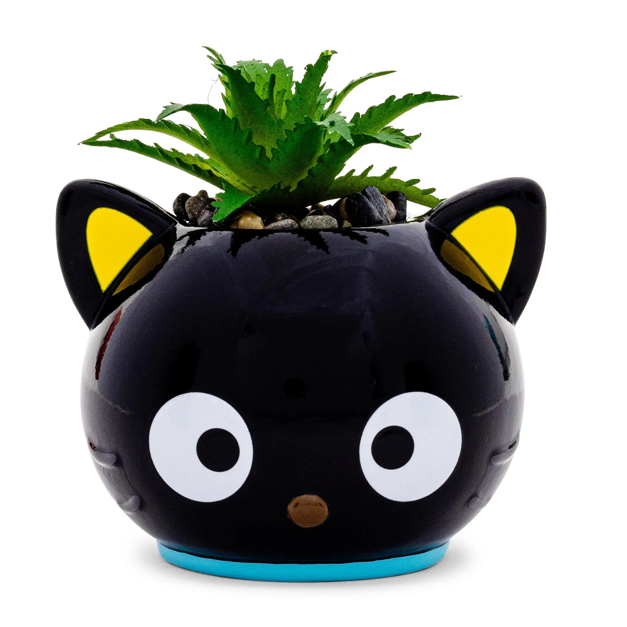Sanrio Chococat 3-inch Ceramic Mini Planter, Featuring Life-like Artificial Succulent Plant Sanrio Chococat 3-inch Ceramic Mini Planter, Featuring Life-like Artificial Succulent Plant