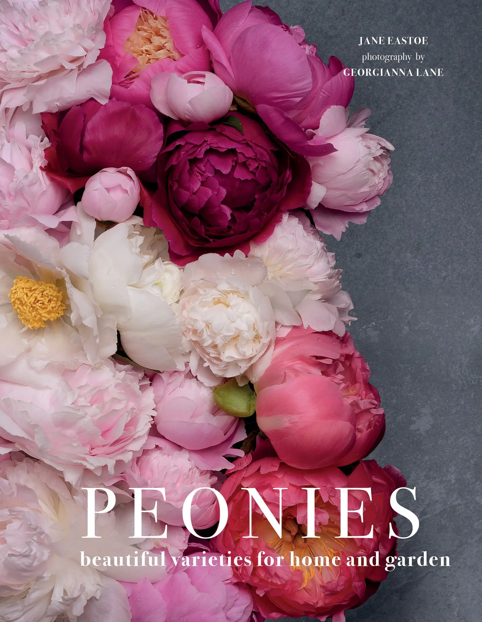 Peonies: Beautiful Varieties for Home & Garden -- Jane Eastoe - Hardcover