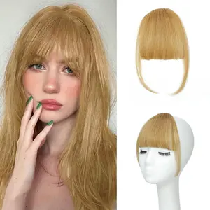 ALICOCO 100% Real Human Hair Extensions Wispy 18# Hair Clip on bangs for women Fringe with Temples Hairpieces Faux Bangs for Daily Wear