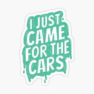 I Just Came For The Car Sticker