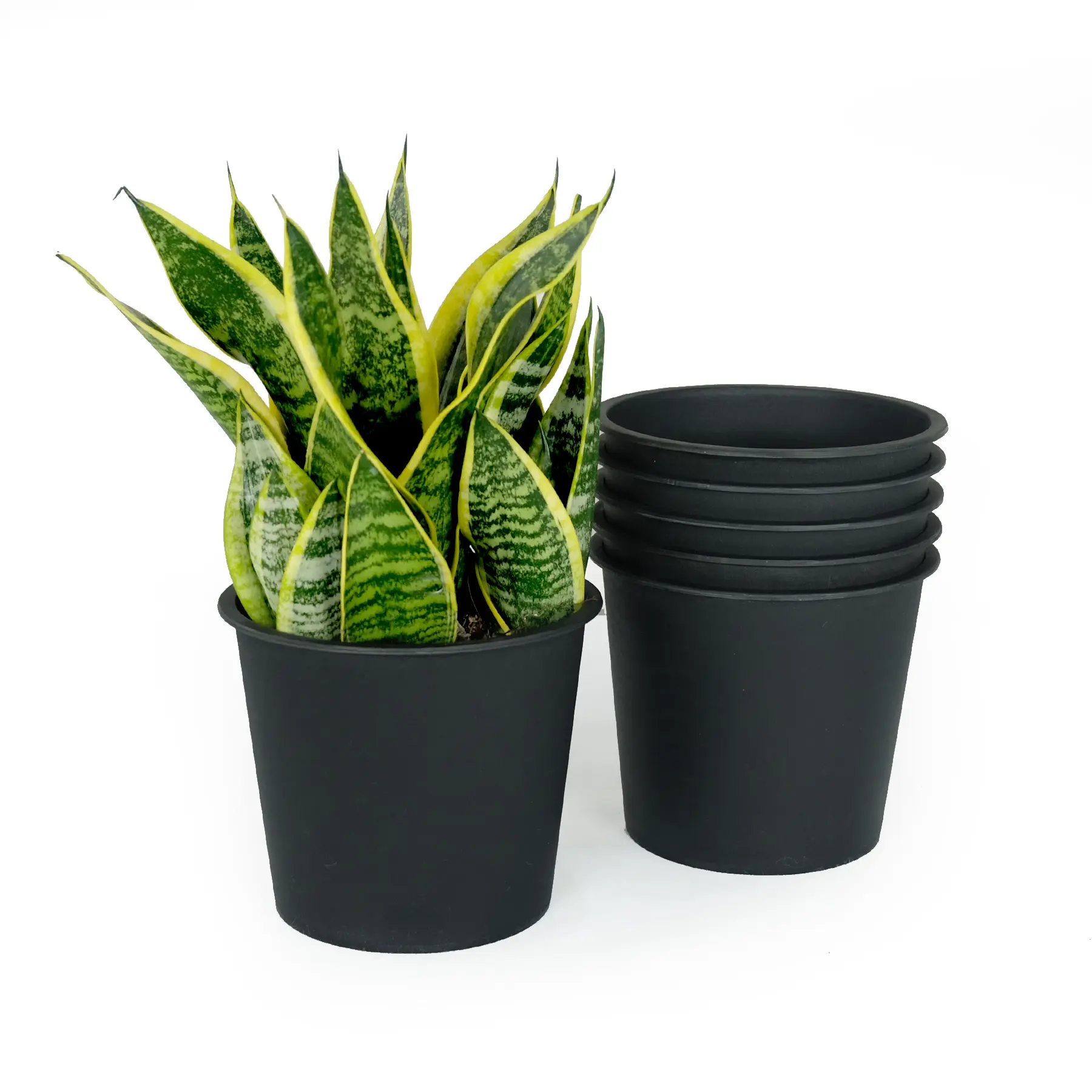 Round Plastic Plant Pots with Drainage, 5 Inches, Set of 5, for Nursery and Garden