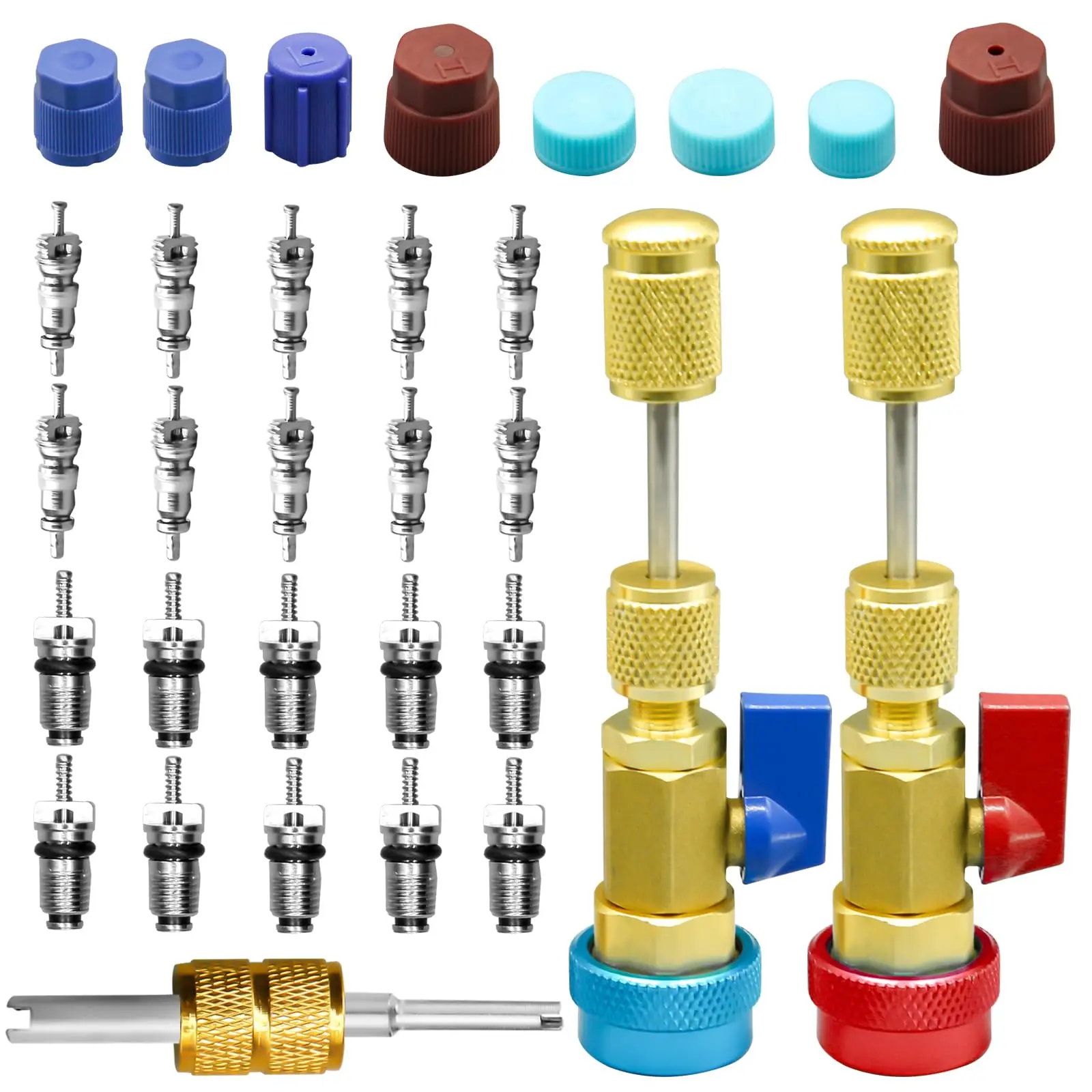 31Pcs R134A Valve Core Remover Installer Tool Kit High Low Pressure Valve Core Quick Removal Tool Comes with AC Service Port Cap R134A Valve Core Valve Stem for Refrigerant Air Conditioner System