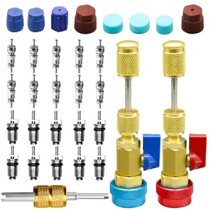 31Pcs R134A Valve Core Remover Installer Tool Kit High Low Pressure Valve Core Quick Removal Tool Comes with AC Service Port Cap R134A Valve Core Valve Stem for Refrigerant Air Conditioner System