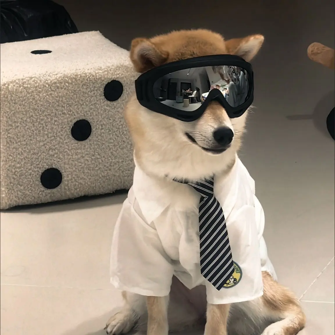 Dog Fashion Goggles, Pet Eyewear for Puppies