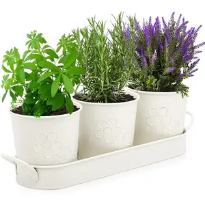 Indoor Herb Garden Planter, Herb Plant Pots for Indoor/Outdoor Plants,Succulent Pots,Home Decor Planters Windowsill,Metal Window Planter,Herb Garden Planter Set with Tray, Indoor Window Garden Kit, Seed Starter Kit