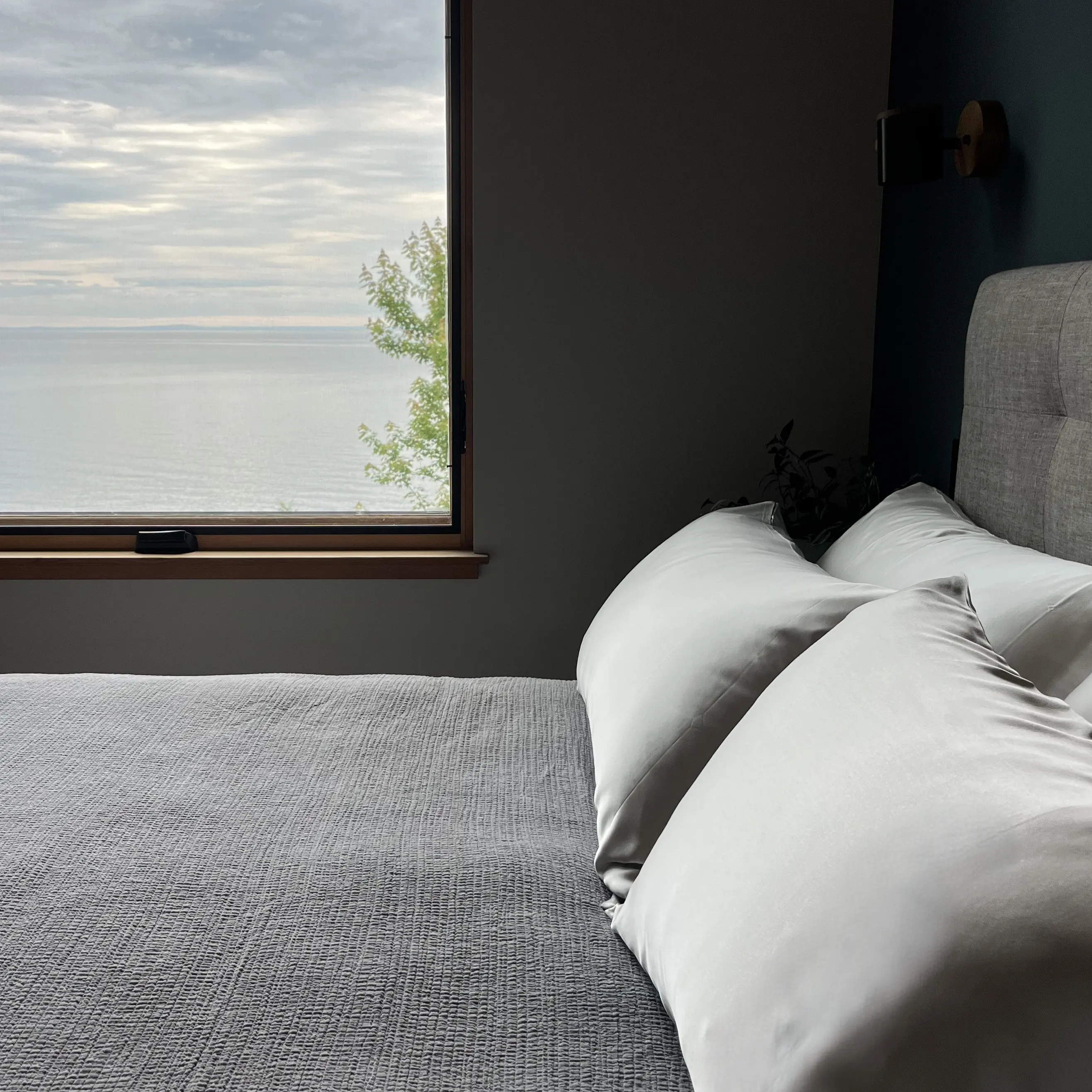 Copper Infused 100% Mulberry Silk Pillowcases