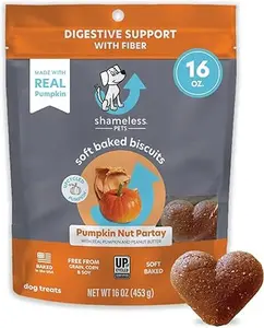 Shameless Pets Soft-Baked Dog Treats, Pumpkin Nut Partay - Natural & Healthy Dog Chews for Digestive Support with Fiber - Dog Biscuits Baked & Made in USA, Free from Grain, Corn & Soy - 1-Pack