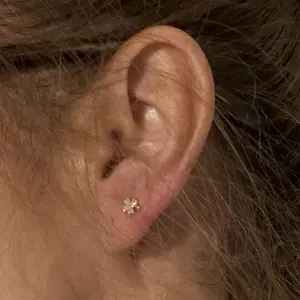 PAVOI 14K Gold Plated 925 Sterling Silver Post Flat Back Stud Earrings for Women - Clover Cartilage Earrings - Trendy Helix Jewelry