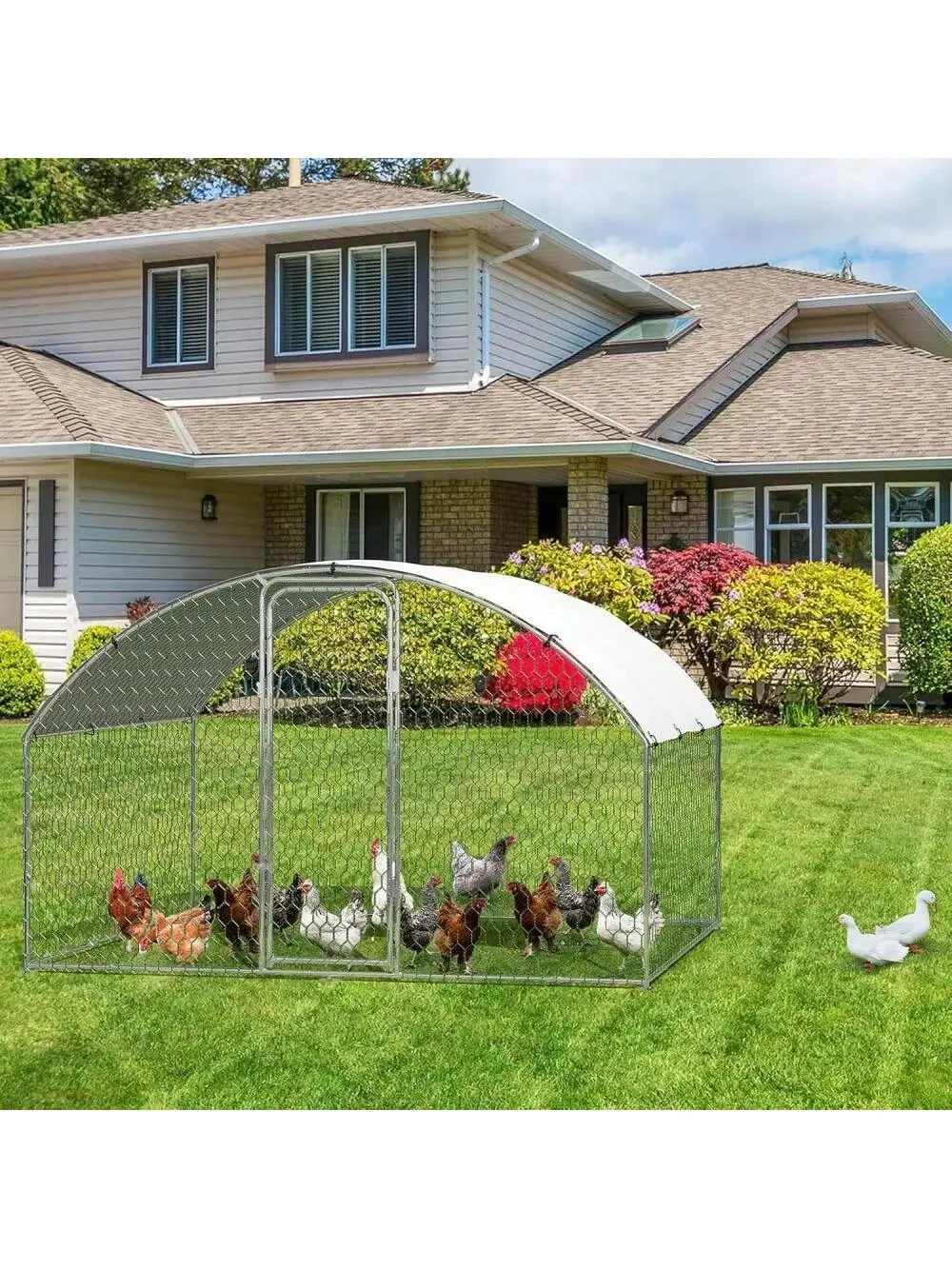 Gaomon Large Silver Steel Tube Metal Frame Walk-In Rabbit & Duck Cage - 9.8x6.5x6.5 ft Metal Habitat, Lockable Door, Predator-Proof, Water-Resistant PE Tarp Cover, Gable Roof, Sun Protection, Easy Setup, All-Seasons Backyard Farm Use