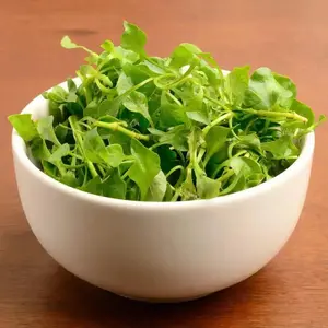 Watercress Yellowcress Lettuce, Xa Lach Xoong Seeds 2 Pack x 1500 Seeds High Germination Cold Hardy All-Season