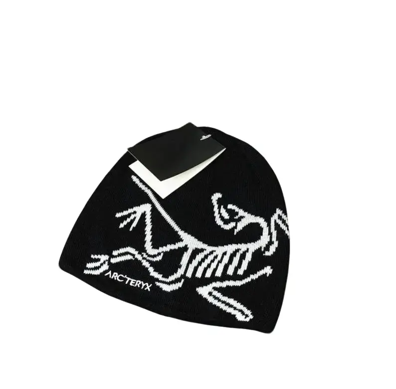 Arc'teryx Bird Head Toque - Frozen Peak - classic unisex winter beanie, breathable, comfortable blend of wool and recycled polyester, skiing, snowboarding, climbing & Outdoor Wear