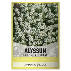 Carpet of Snow Dwarf Sweet Alyssum Seeds