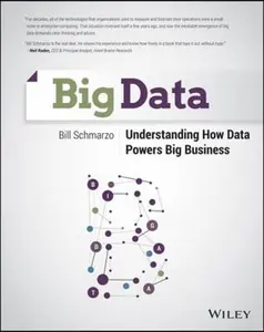 USED-Big Data: Understanding How Data Powers Big Business by Schmarzo, Bill (Paperback)
