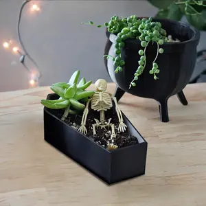 Gothic Wooden Coffin Storage Box, Decorative Organizer Box, Durable Multifunctional Home Decor for Halloween, Quirky Party Favors, Pet Memorial, Succulent Container