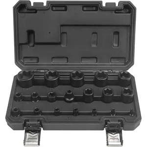 19 count External Torx Plus Socket Set 6 Point EP4, EP5, EP6, EP7, EP8, EP10, EP11, EP12, EP14, EP16, EP18, EP20, EP22, EP24, EP26, EP28, EP30, EP32 with 1/2'' 3/8'' 1/4'' Dr E-Torx Plus Socket