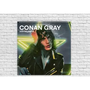 Soft Cactus Conan Gray 2025 Calendar Wall Calendars Wall Hanging Calendar