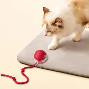 🐾 Zoomies, Controlled! | Interactive Tether Ball with Tie-Down Rope for Cats | Toss, Chase & Tug | Indoor Energy Burner
